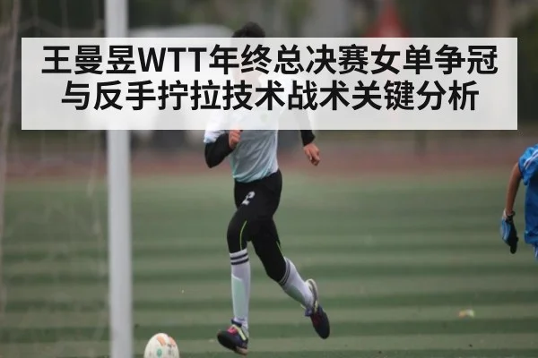 王曼昱WTT年终总决赛女单争冠与反手拧拉技术战术关键分析